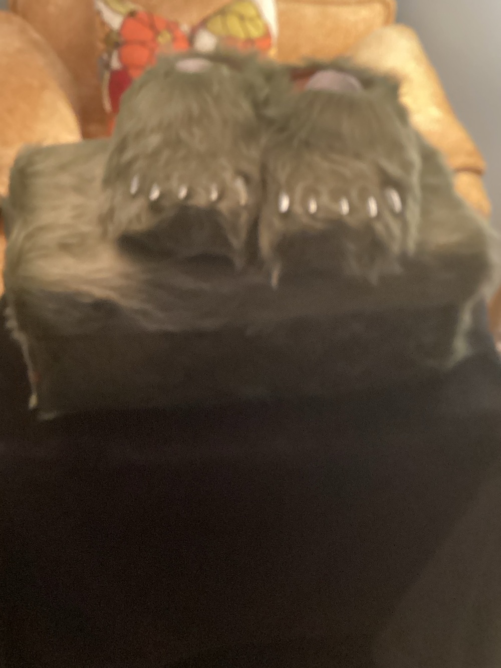 Bravest Studios Olive Green Plush Monster Paw Slippers for Kids